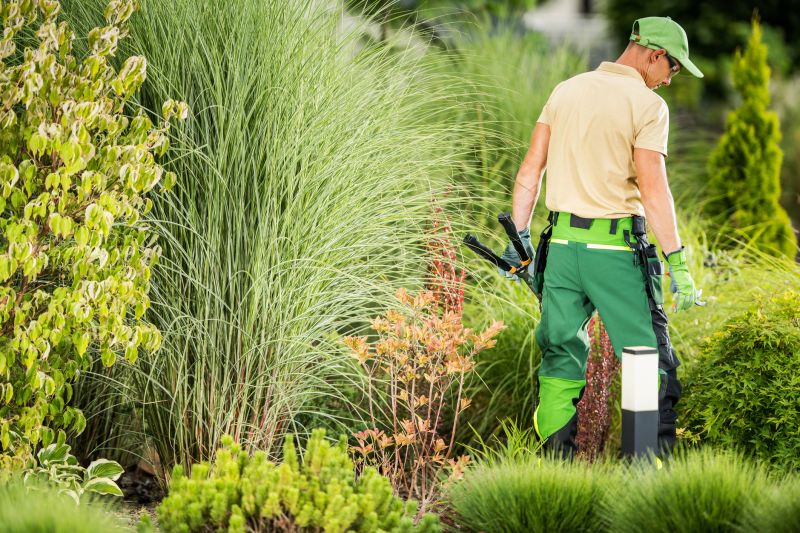 Local Landscape Designer pros at work