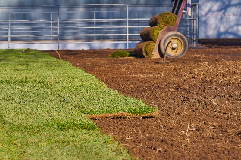 Lawn Border Installation detail